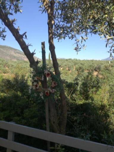 Sunny Holiday Home Kalamata Exterior photo